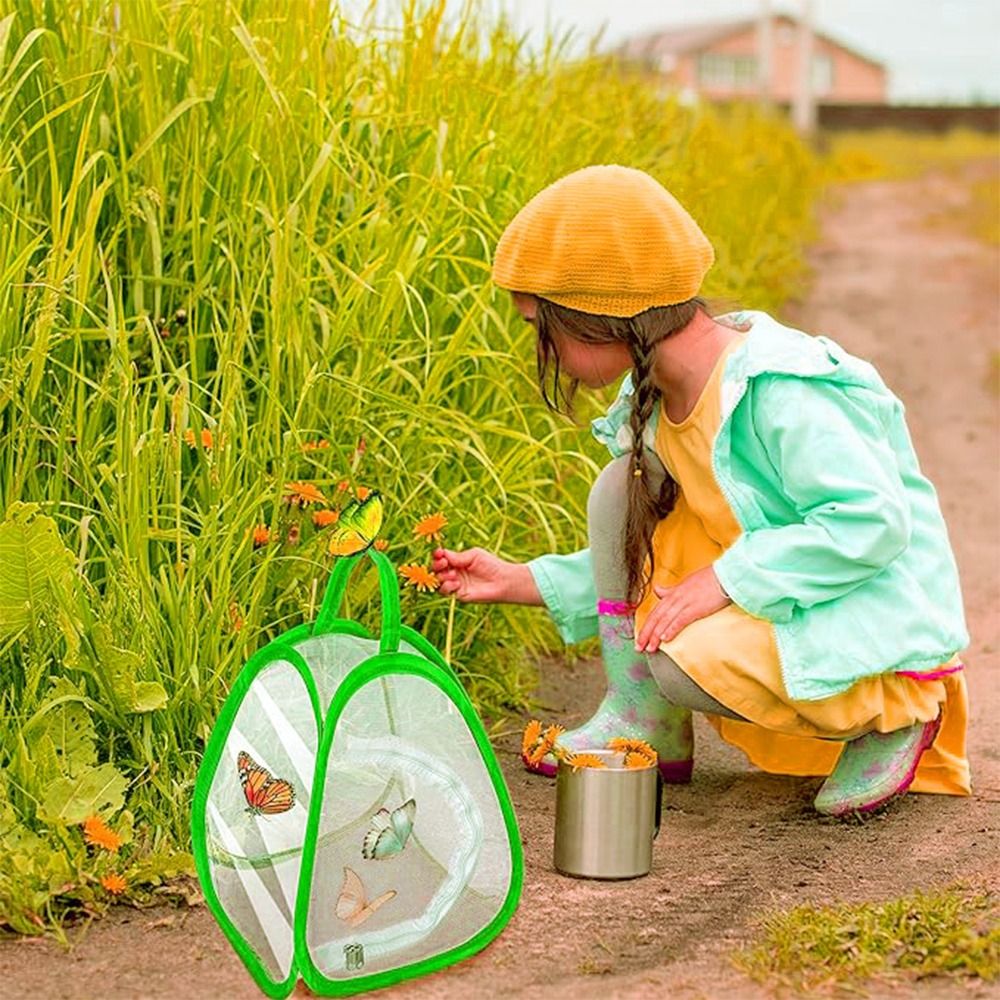 Green Collapsible Insect Cage  - đánh giá và giá Green Screen Collapsible