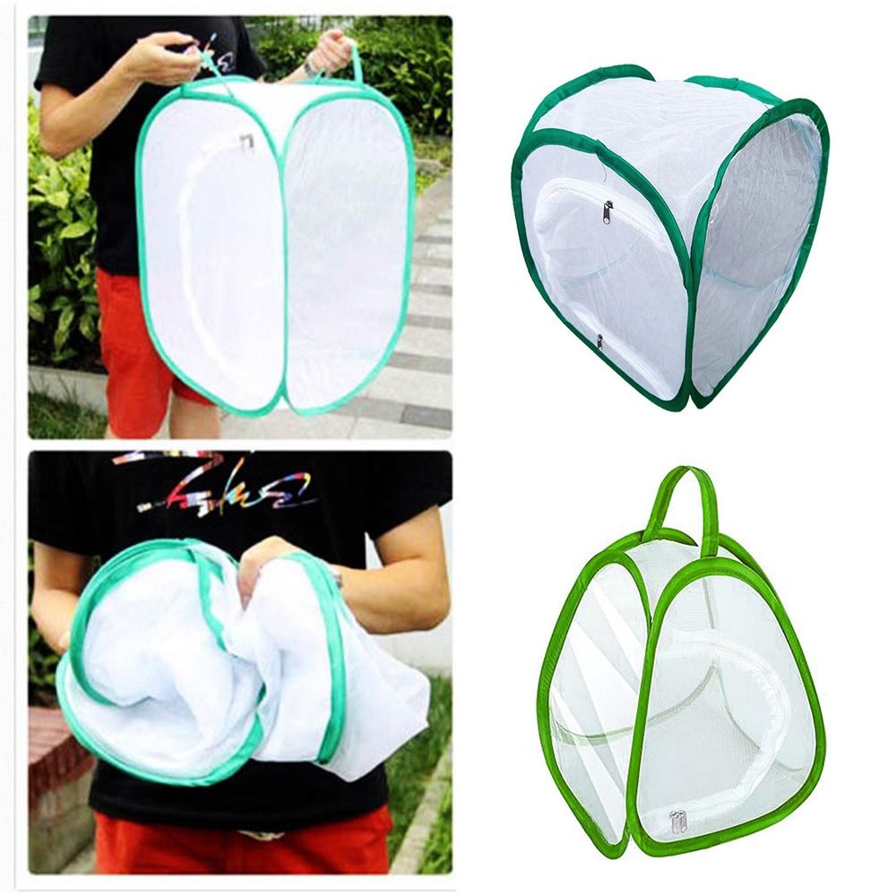 Green Collapsible Insect Cage  - đánh giá và giá Green Screen Collapsible