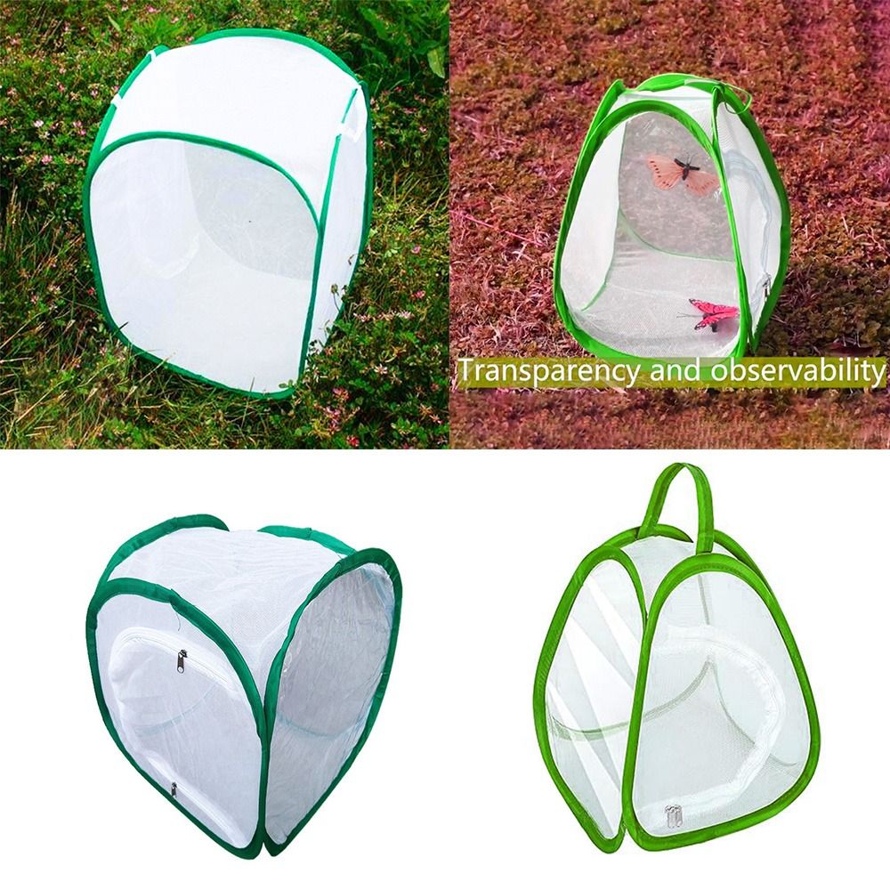 Green Collapsible Insect Cage  - đánh giá và giá Green Screen Collapsible