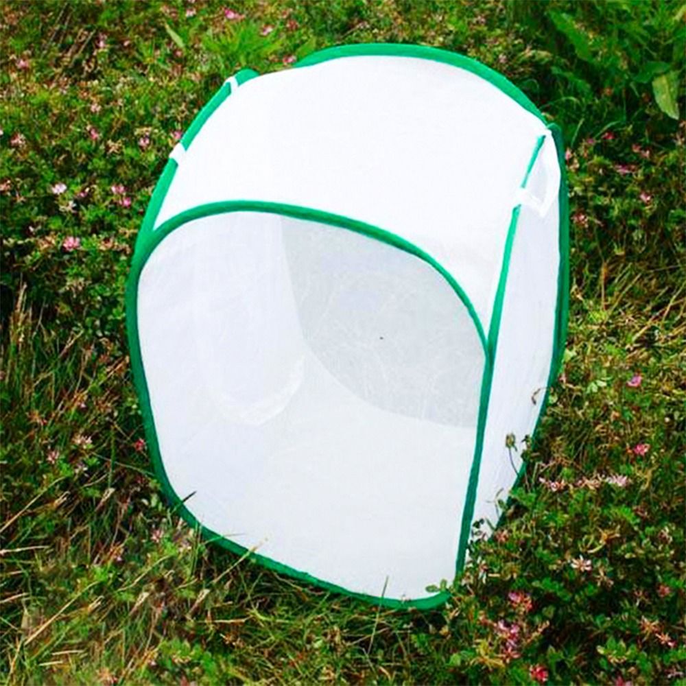 Green Collapsible Insect Cage  - đánh giá và giá Green Screen Collapsible
