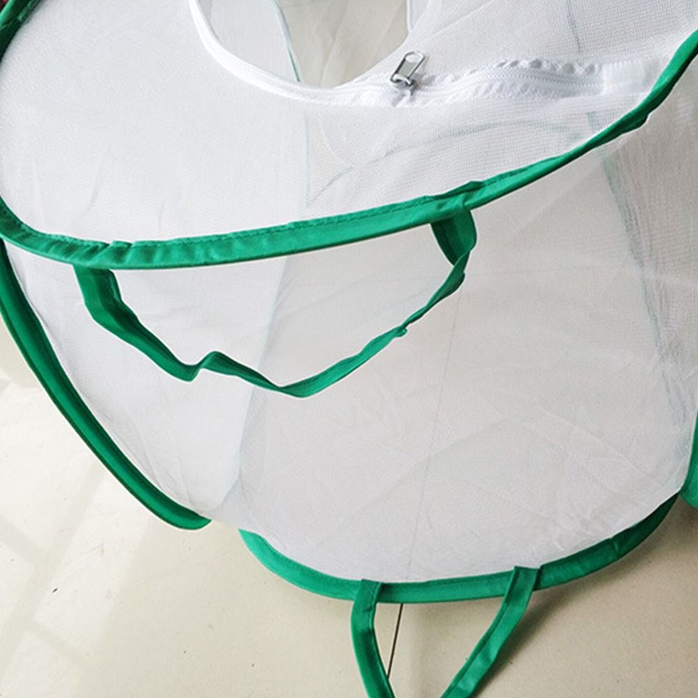 Green Collapsible Insect Cage  - đánh giá và giá Green Screen Collapsible