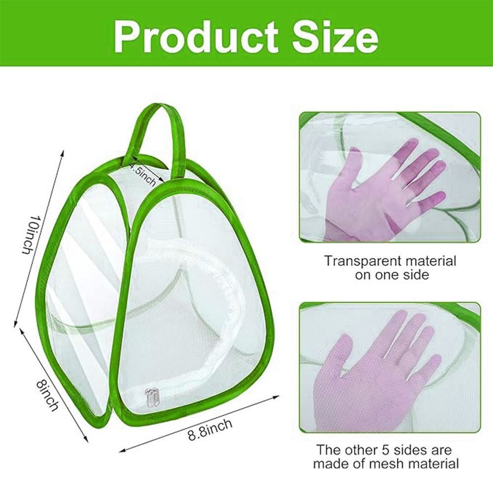 Green Collapsible Insect Cage  - đánh giá và giá Green Screen Collapsible
