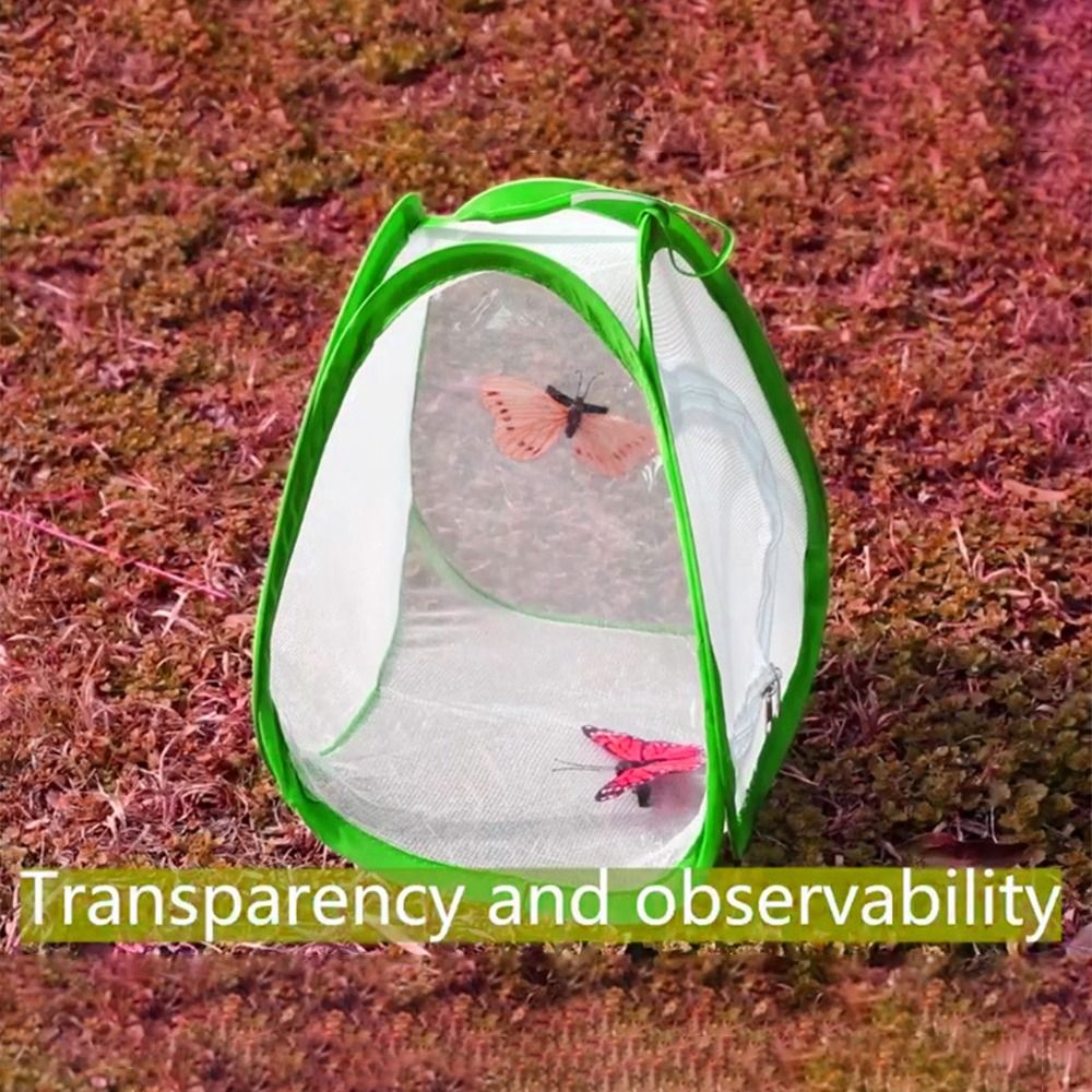 Green Collapsible Insect Cage  - đánh giá và giá Green Screen Collapsible