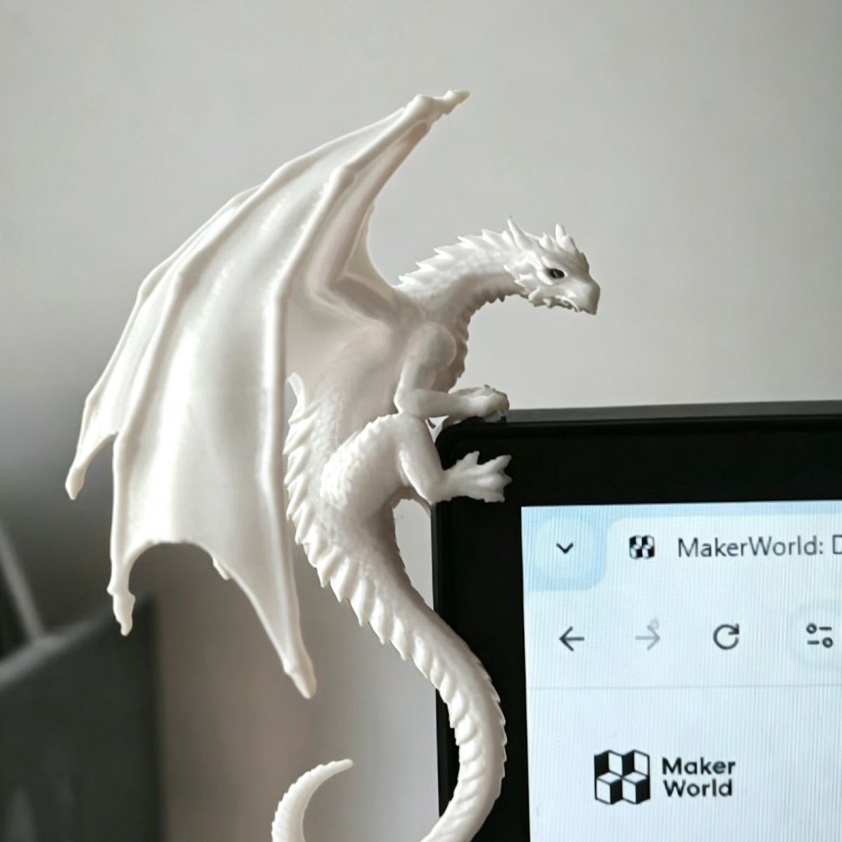 Cool Dragon Lying Figure Monit - đánh giá và giá Esports Gaming Monitor