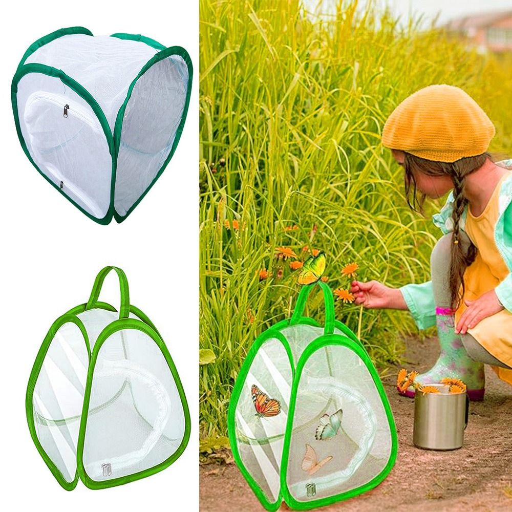 Green Collapsible Insect Cage  - đánh giá và giá Green Screen Collapsible