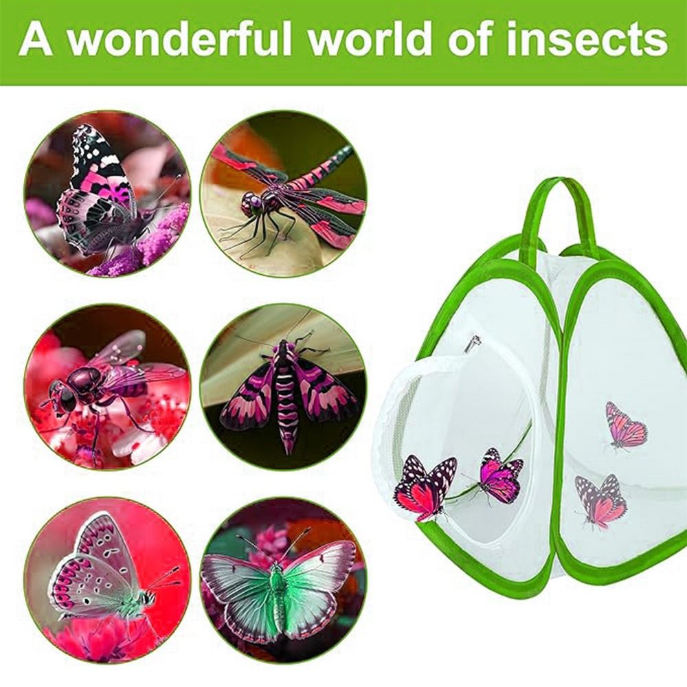 Green Collapsible Insect Cage  - đánh giá và giá Green Screen Collapsible