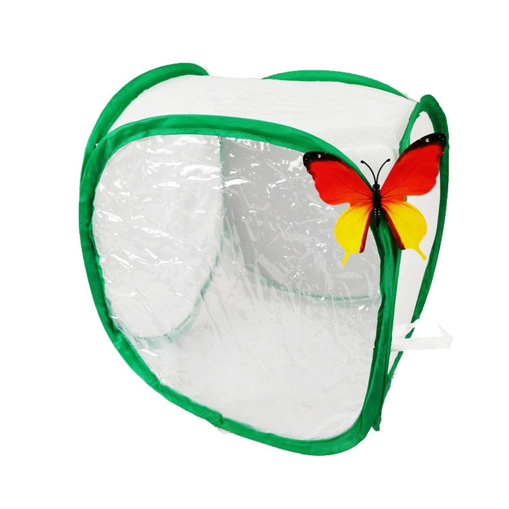 Green Collapsible Insect Cage  - đánh giá và giá Green Screen Collapsible