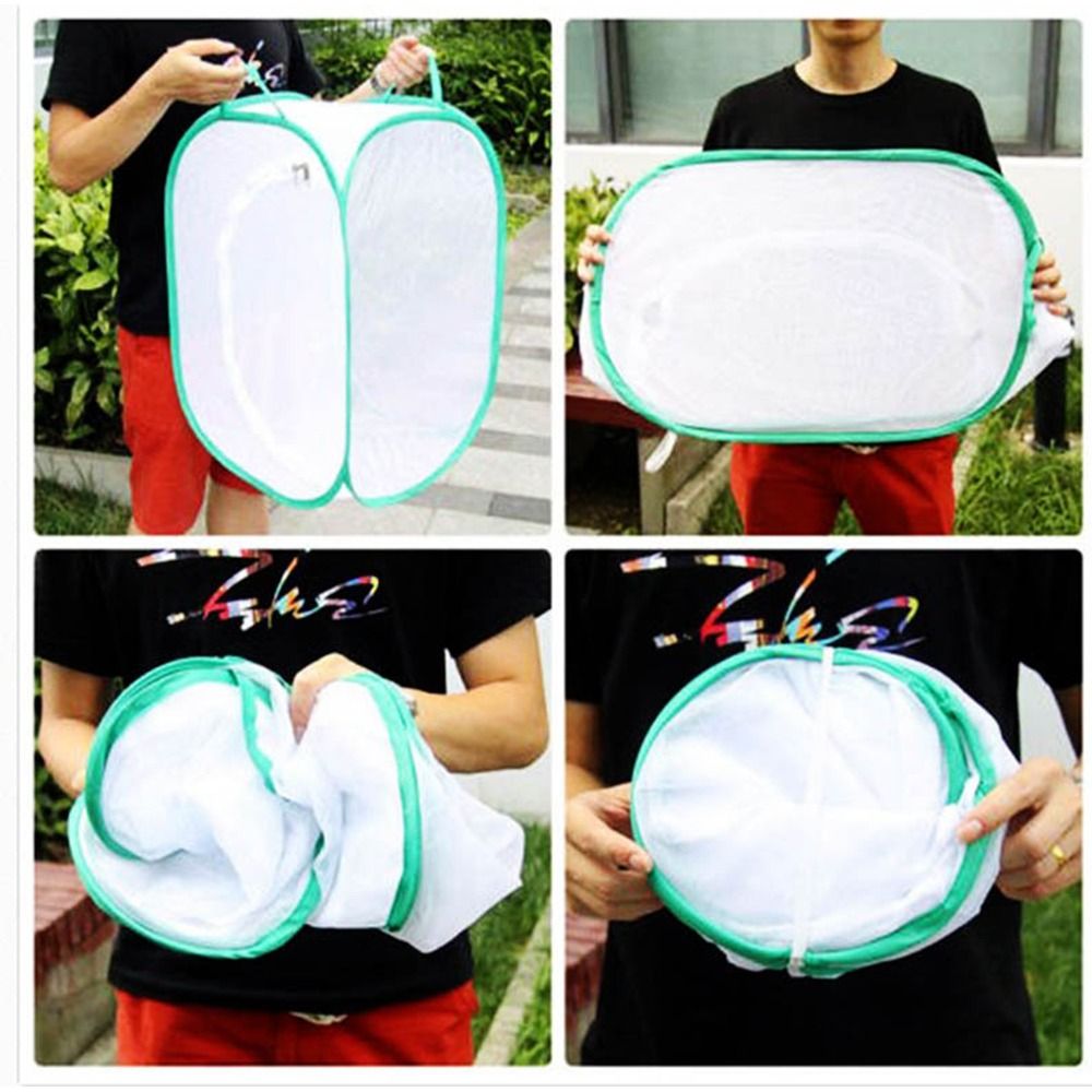Green Collapsible Insect Cage  - đánh giá và giá Green Screen Collapsible